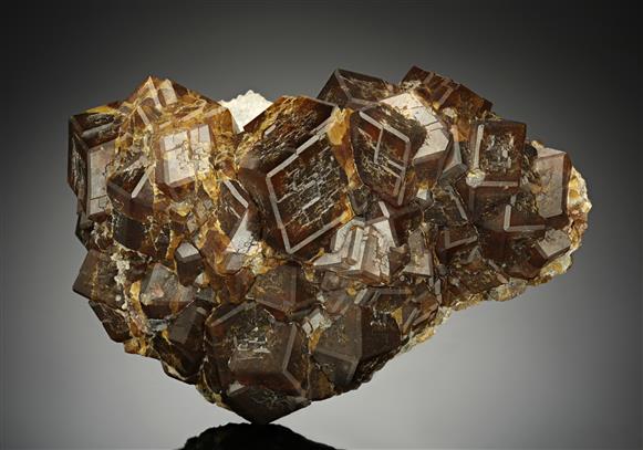 CC10324 specimen image