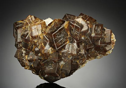 CC10324 specimen image