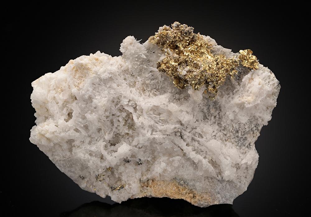 CC10327 specimen image