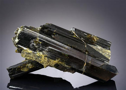 CC10361 specimen image
