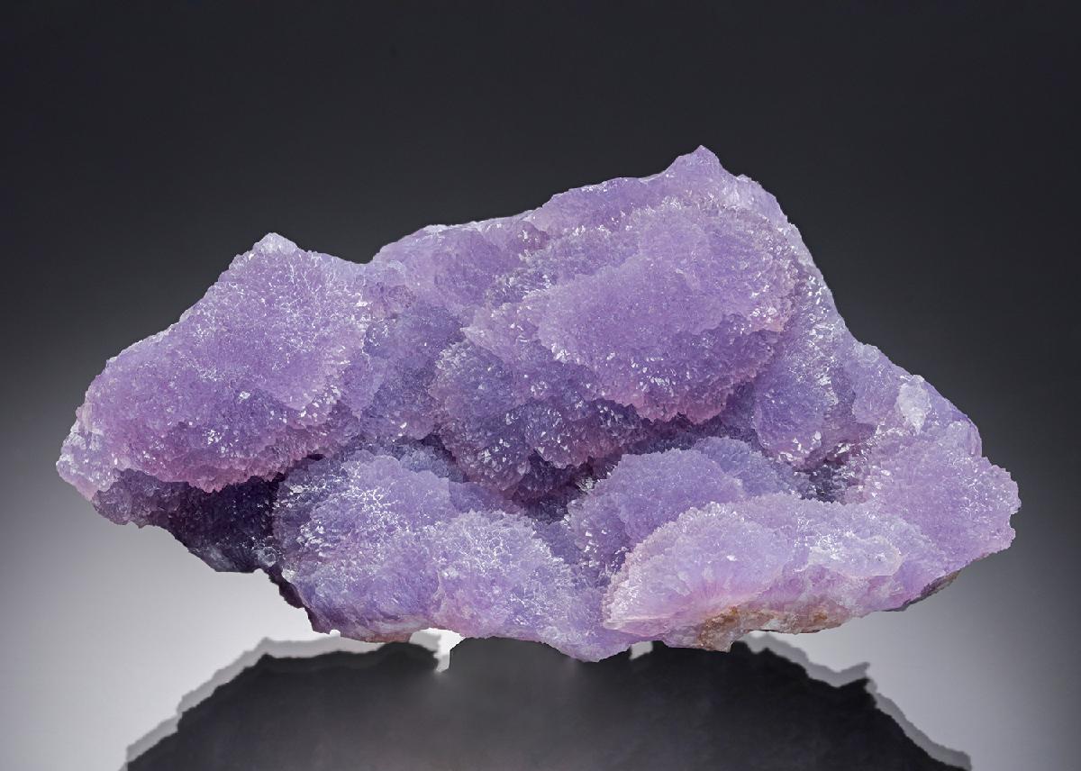 CC10384 specimen image