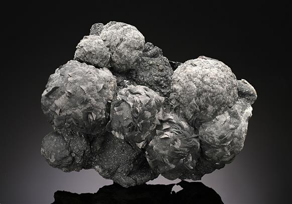 CC10387 specimen image