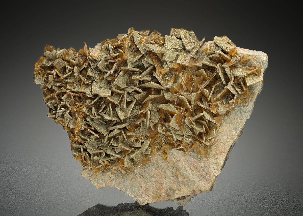 CC10411 specimen image