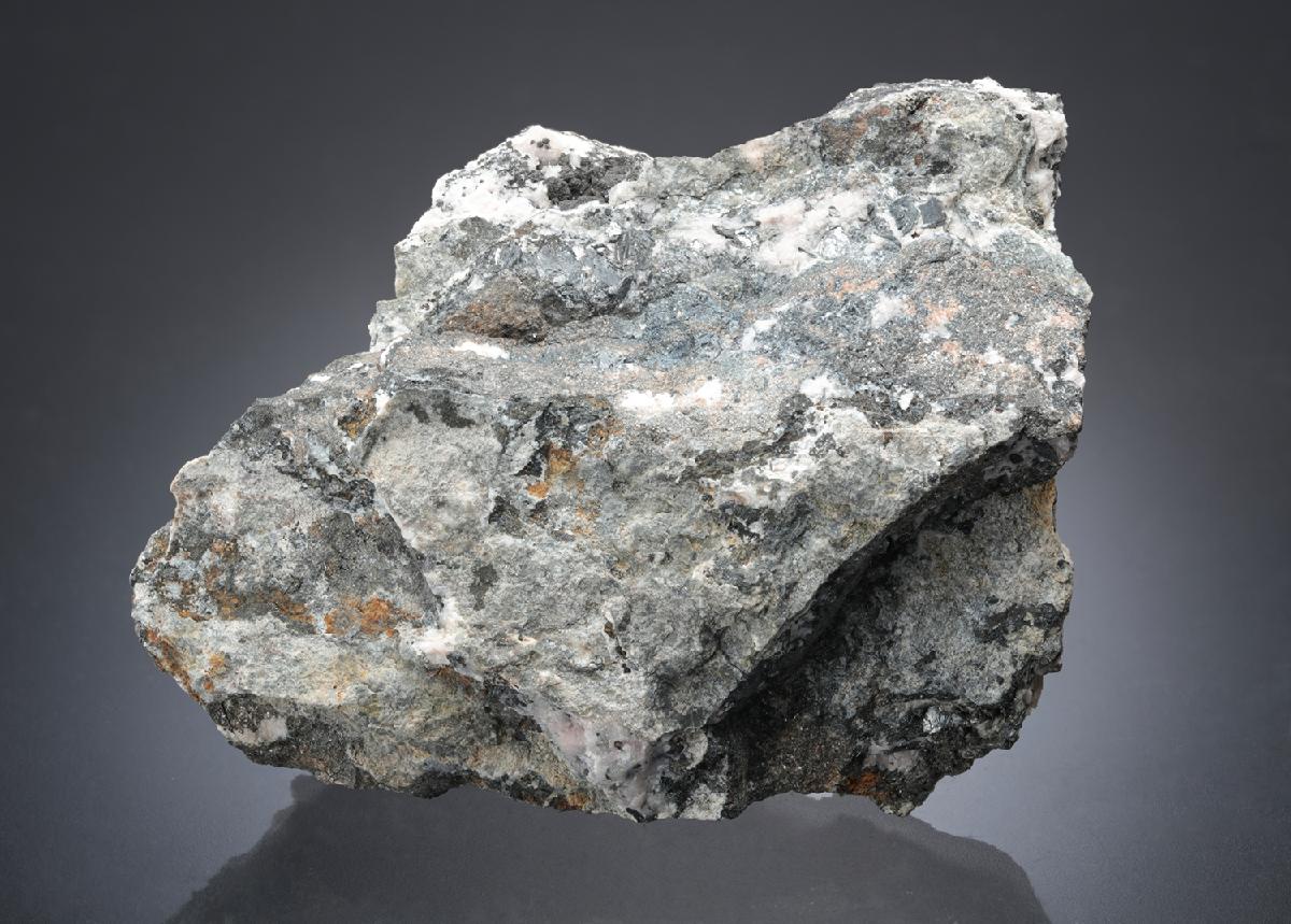 CC10424 specimen image