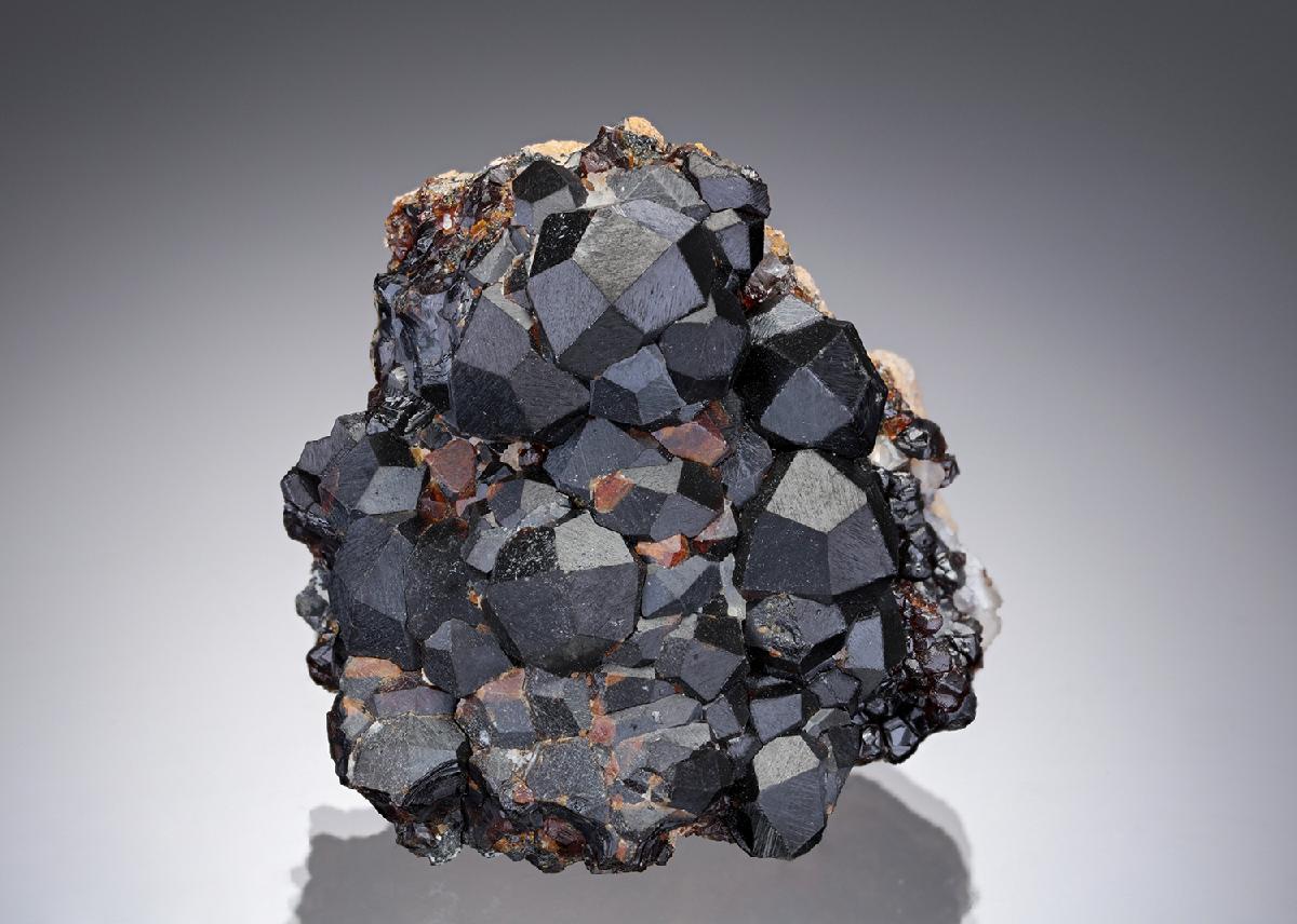 CC10444 specimen image