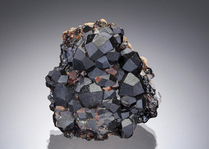 CC10444 specimen image