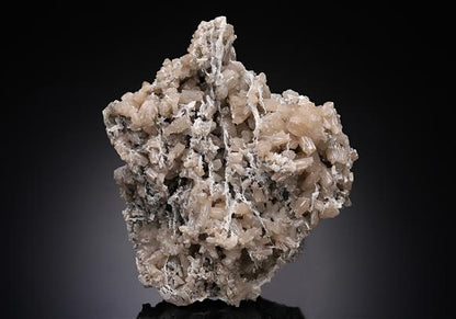 CC10454 specimen image
