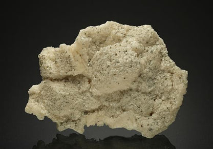 CC10456 specimen image