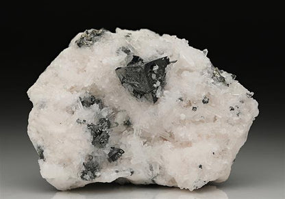 CC10464 specimen image