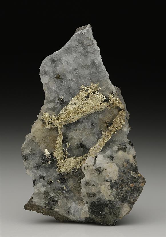 CC10467 specimen image