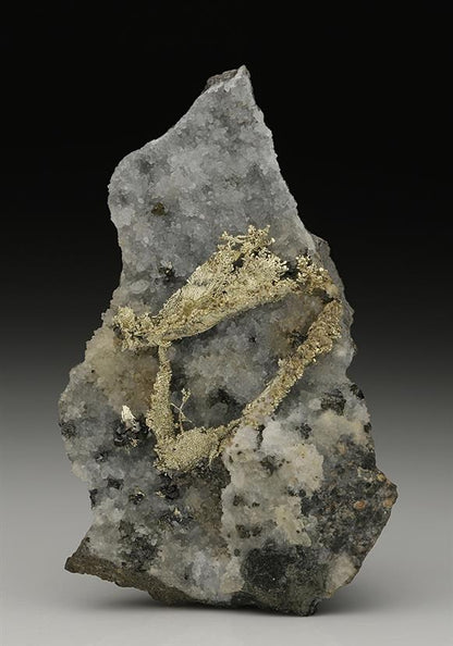 CC10467 specimen image