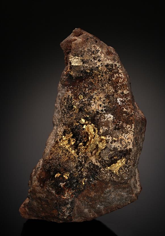CC10473 specimen image