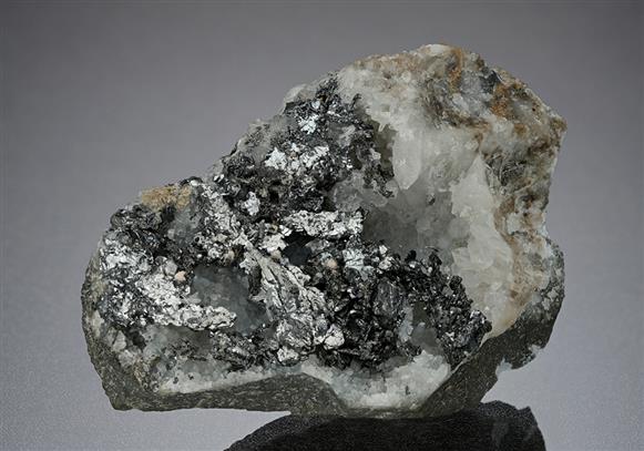 CC10475 specimen image