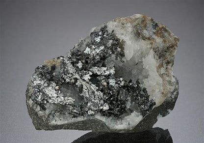 CC10475 specimen image