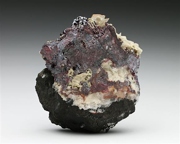 CC10491 specimen image