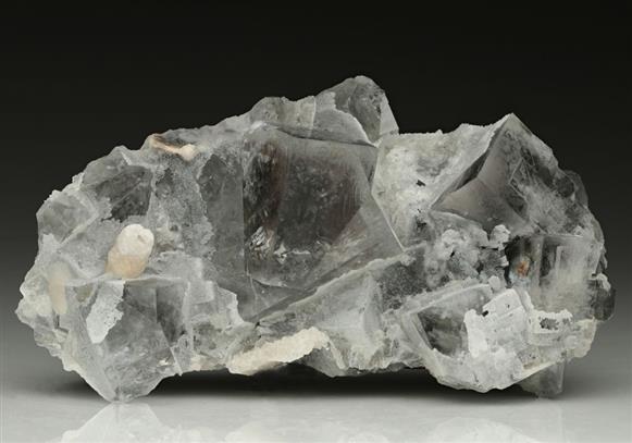 CC10495 specimen image