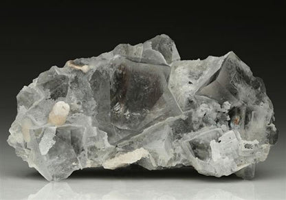 CC10495 specimen image