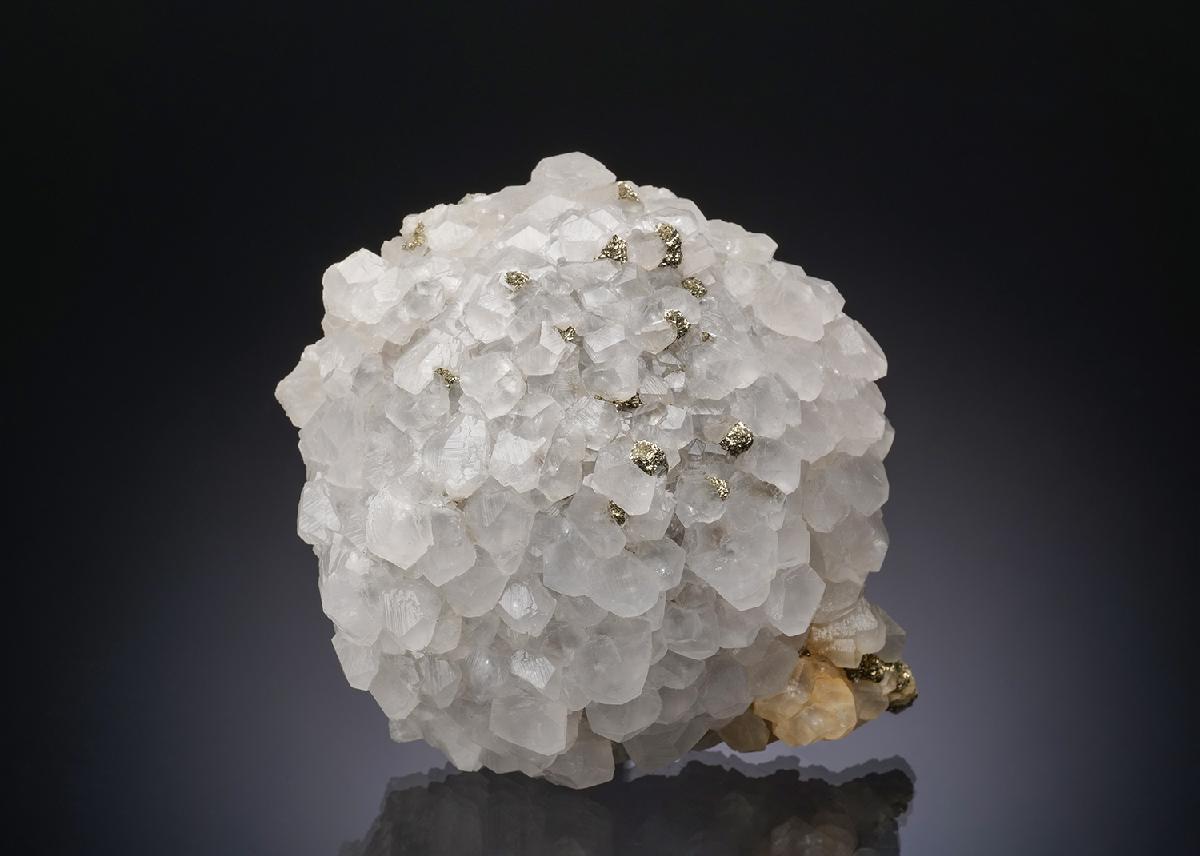CC10496 specimen image
