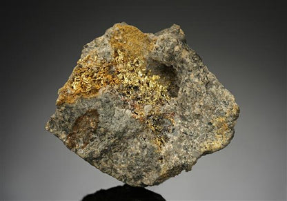 CC10503 specimen image