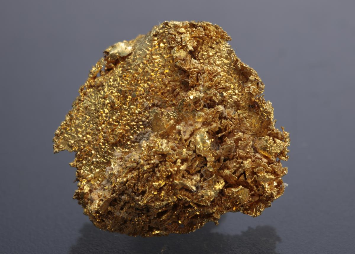 CC10509 specimen image
