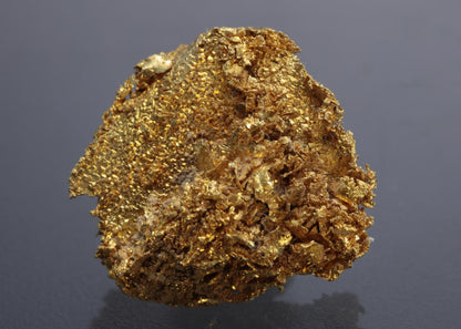 CC10509 specimen image