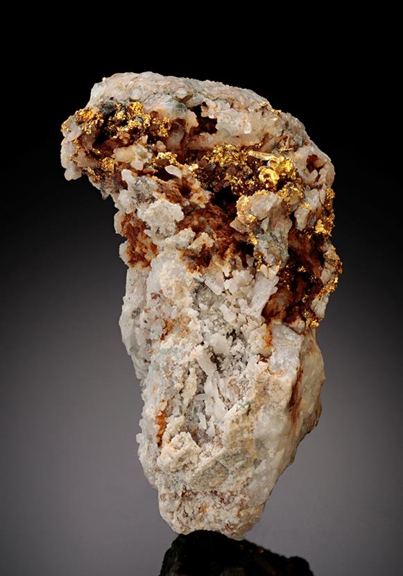 CC10511 specimen image