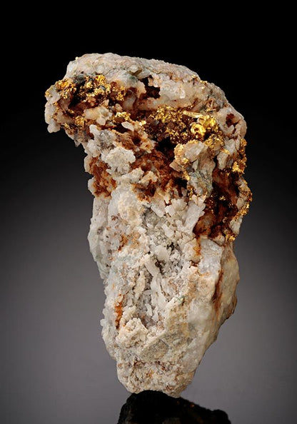 CC10511 specimen image