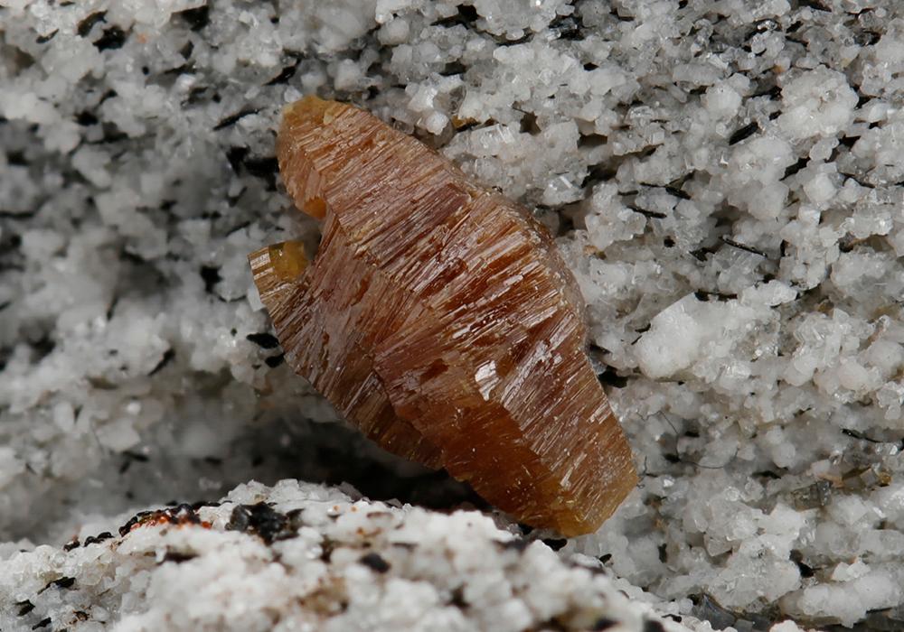 CC10515 specimen image