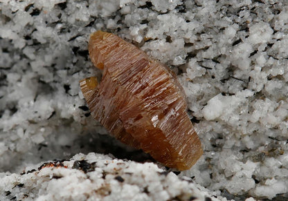 CC10515 specimen image