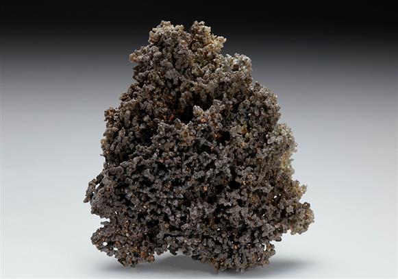 CC10522 specimen image