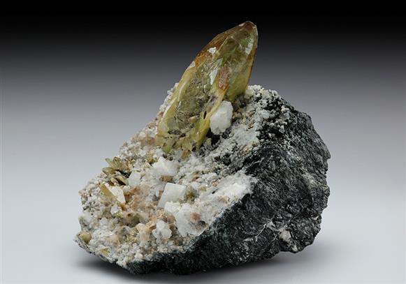 CC10524 specimen image