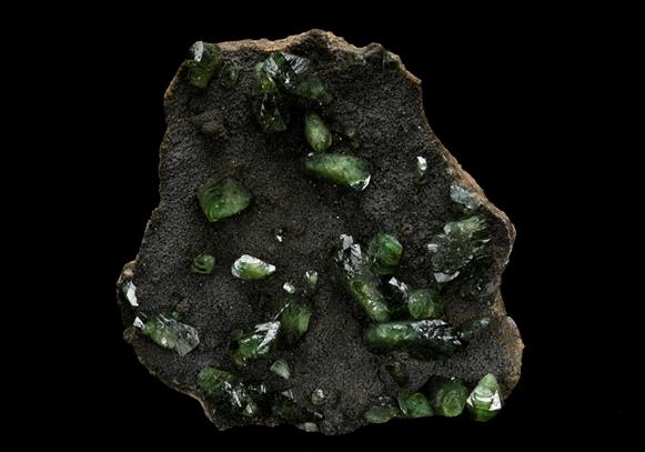 CC10528 specimen image