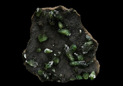 CC10528 specimen image