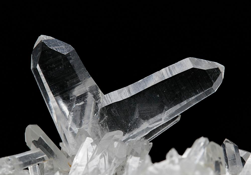 CC10537 specimen image