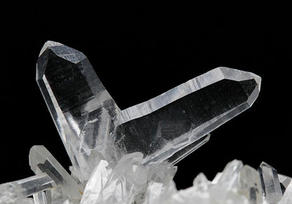 CC10537 specimen image