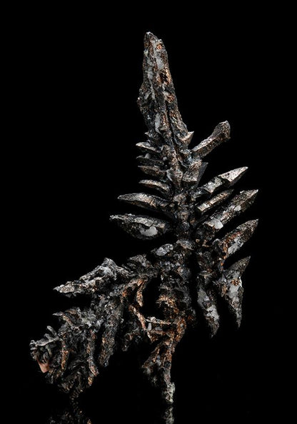 CC10544 specimen image