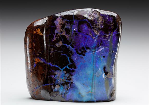 CC10547 specimen image