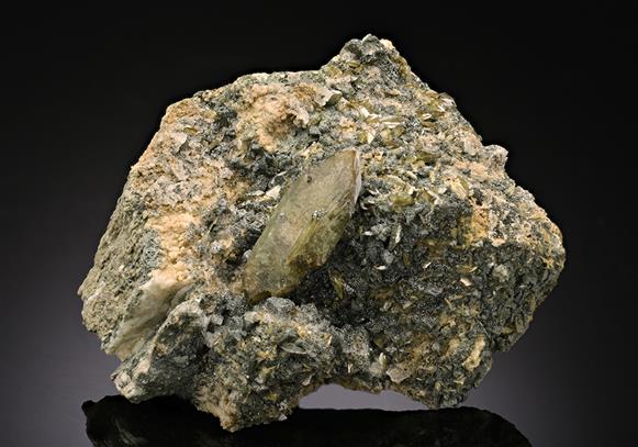 CC10559 specimen image