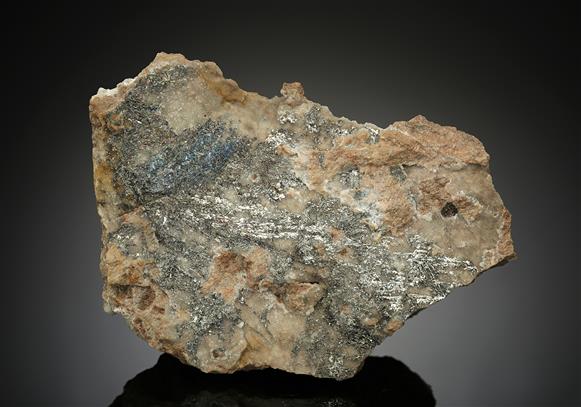 CC10564 specimen image