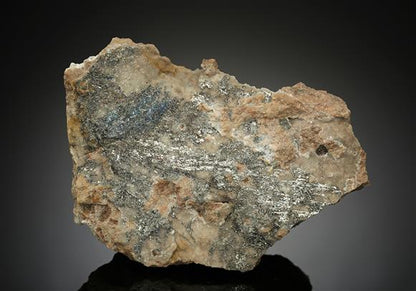 CC10564 specimen image