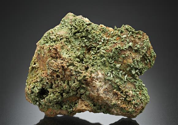 CC10581 specimen image