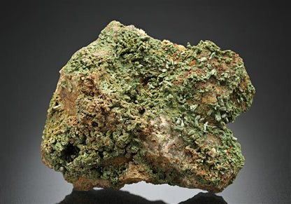 CC10581 specimen image