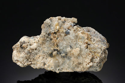 CC10583 specimen image