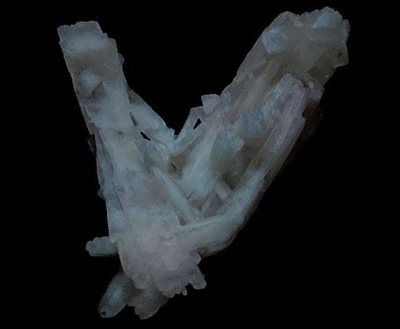 CC10610 specimen image