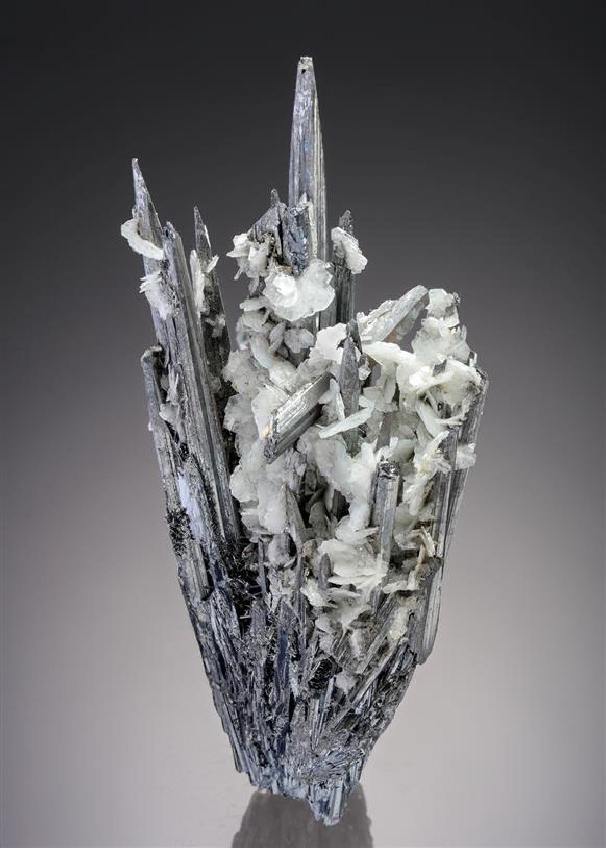 CC10613 specimen image