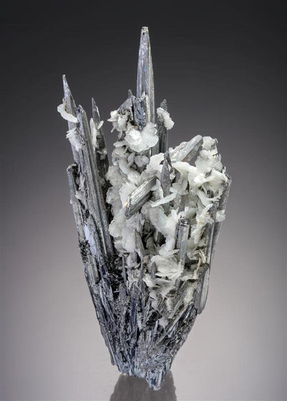 CC10613 specimen image