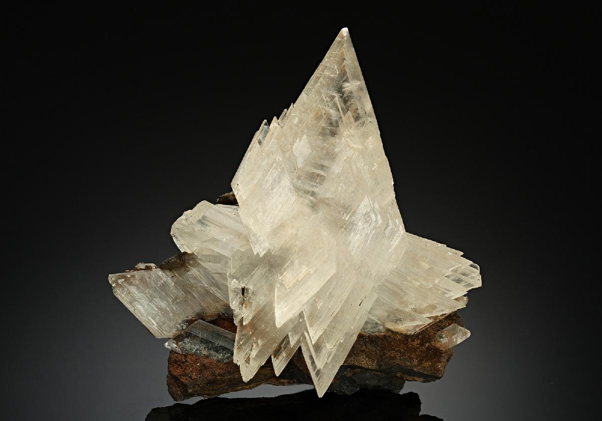 CC10619 specimen image