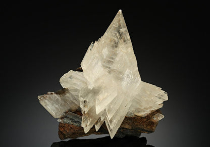 CC10619 specimen image