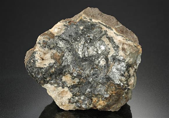 CC10624 specimen image