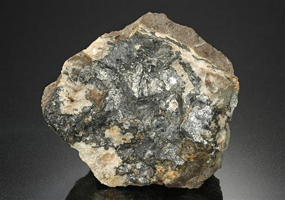 CC10624 specimen image